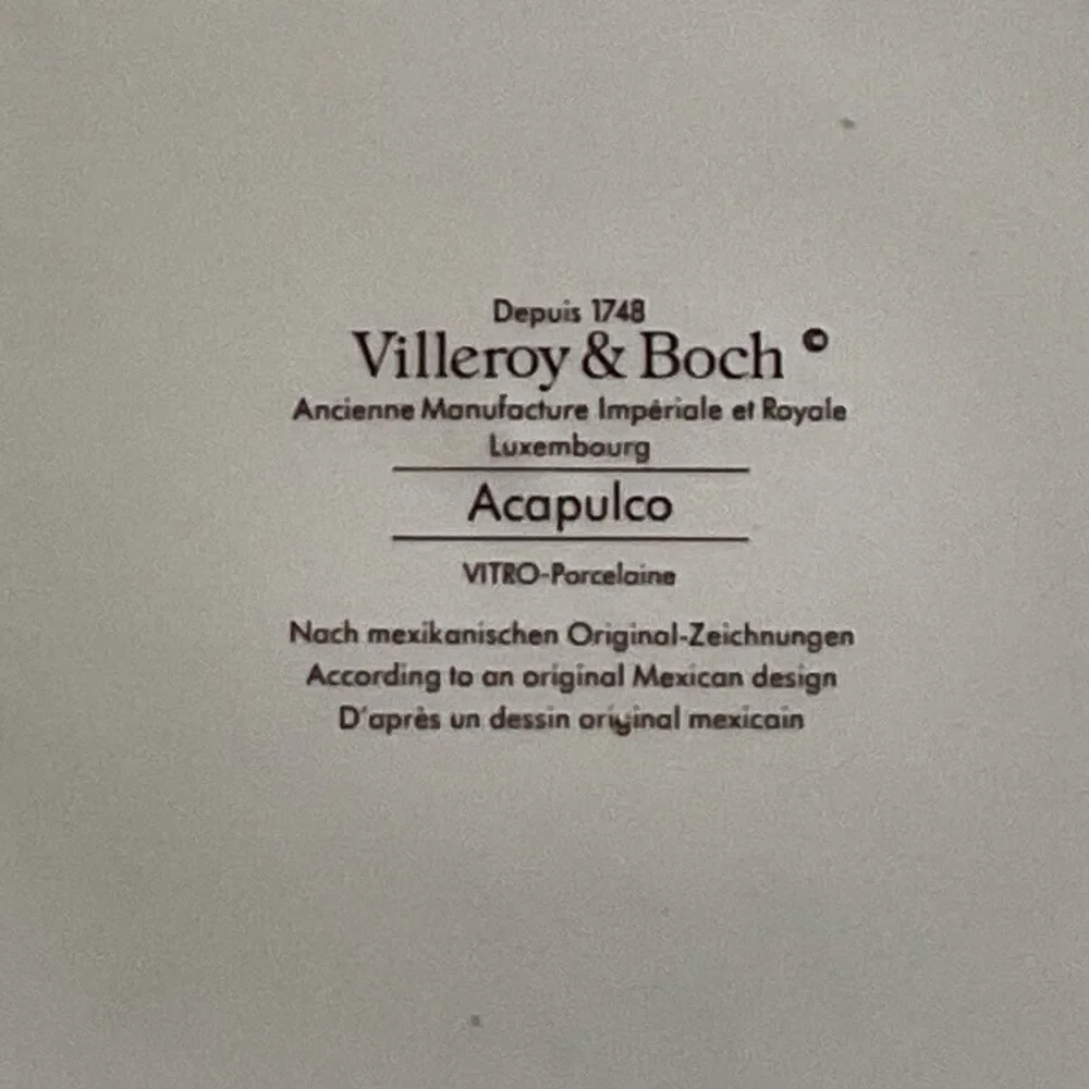 Villeroy & Boch Acapulco Salad Plate 8” Birds Flowers Luxembourg Full Graphic